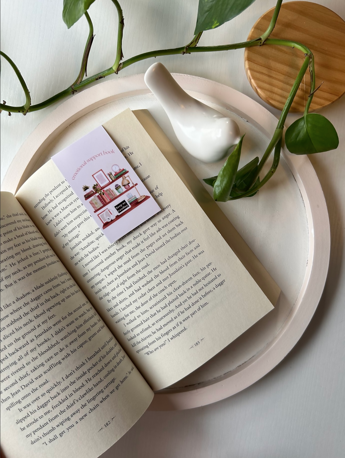 Bookshelves - Magnetic Bookmark - Keep on Reding