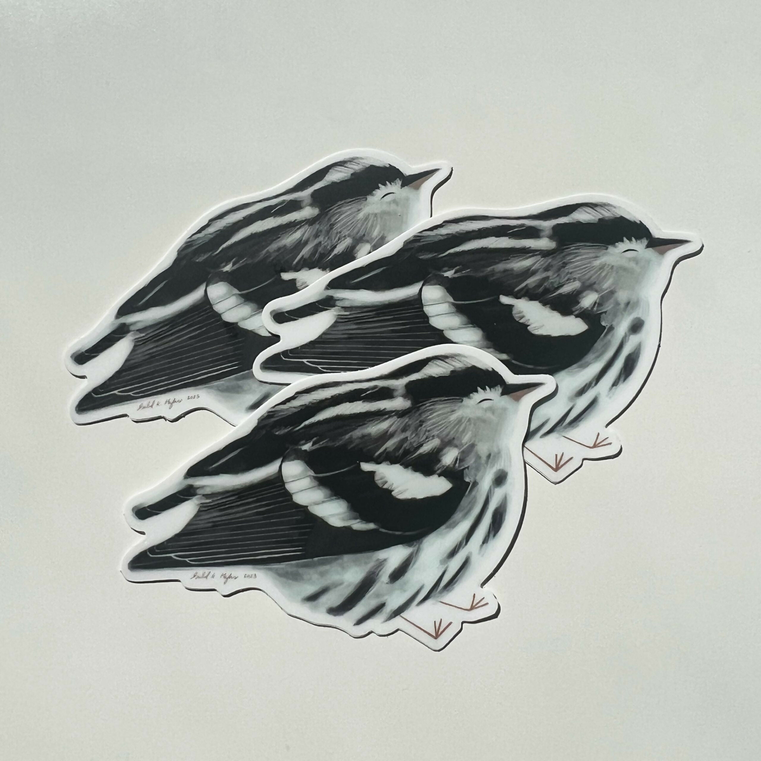 Black and White Warbler Vinyl Sticker