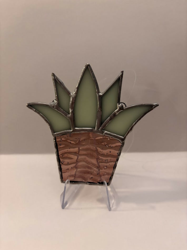 Succulent