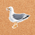 Meddlesome and Noncompliant Seagull Sticker