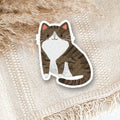 Brown Tuxedo Tabby Cat Vinyl Sticker