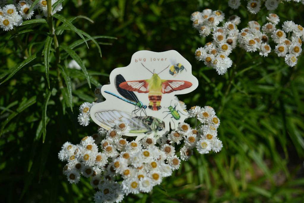 Bug lover | vinyl sticker
