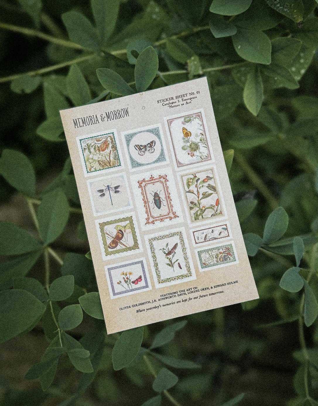 Nature as Art Sticker Sheet