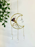 Pressed Flower Crescent Moon Suncatcher - 03