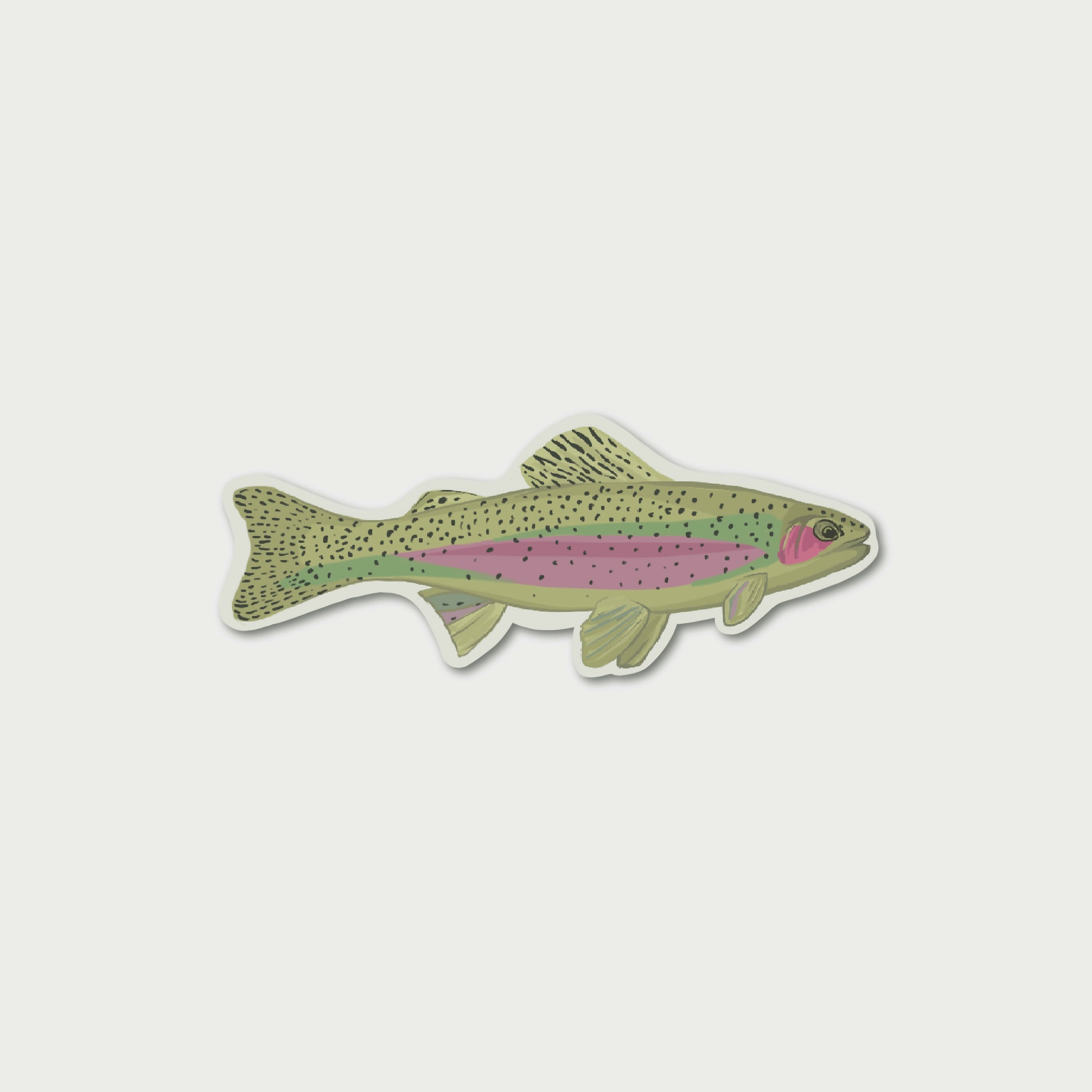 Rainbow Trout Sticker