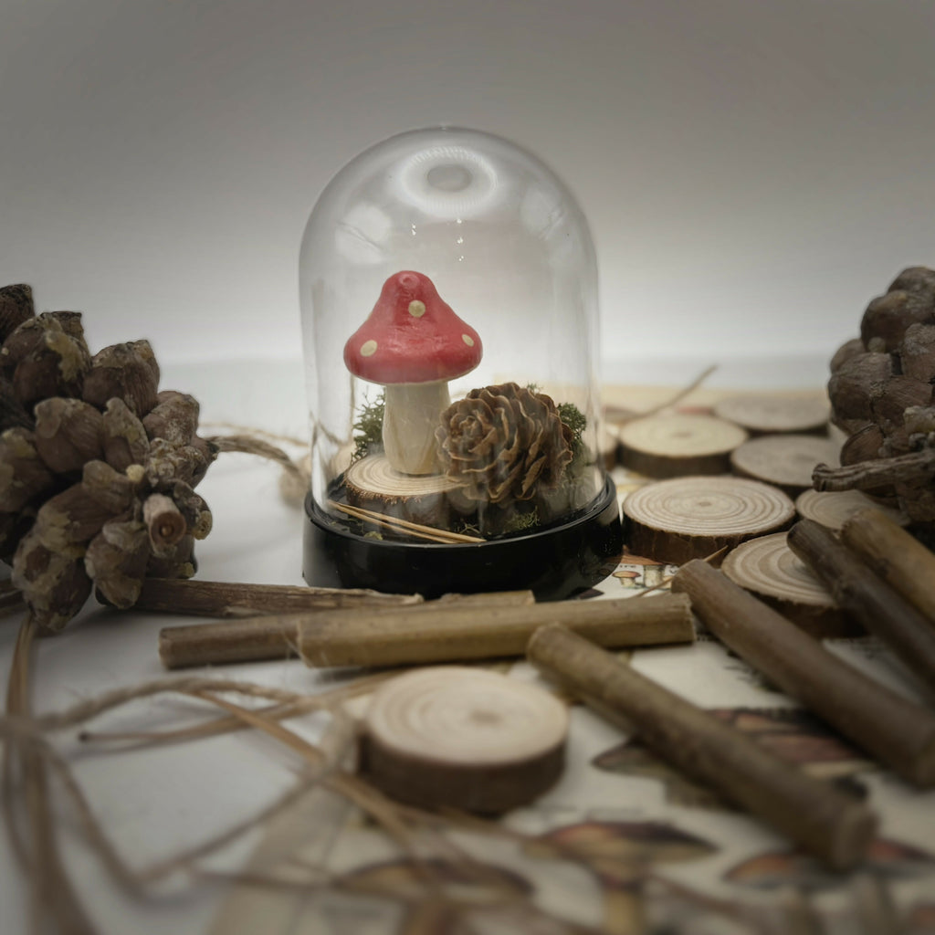 Mini Terrarium Kit
