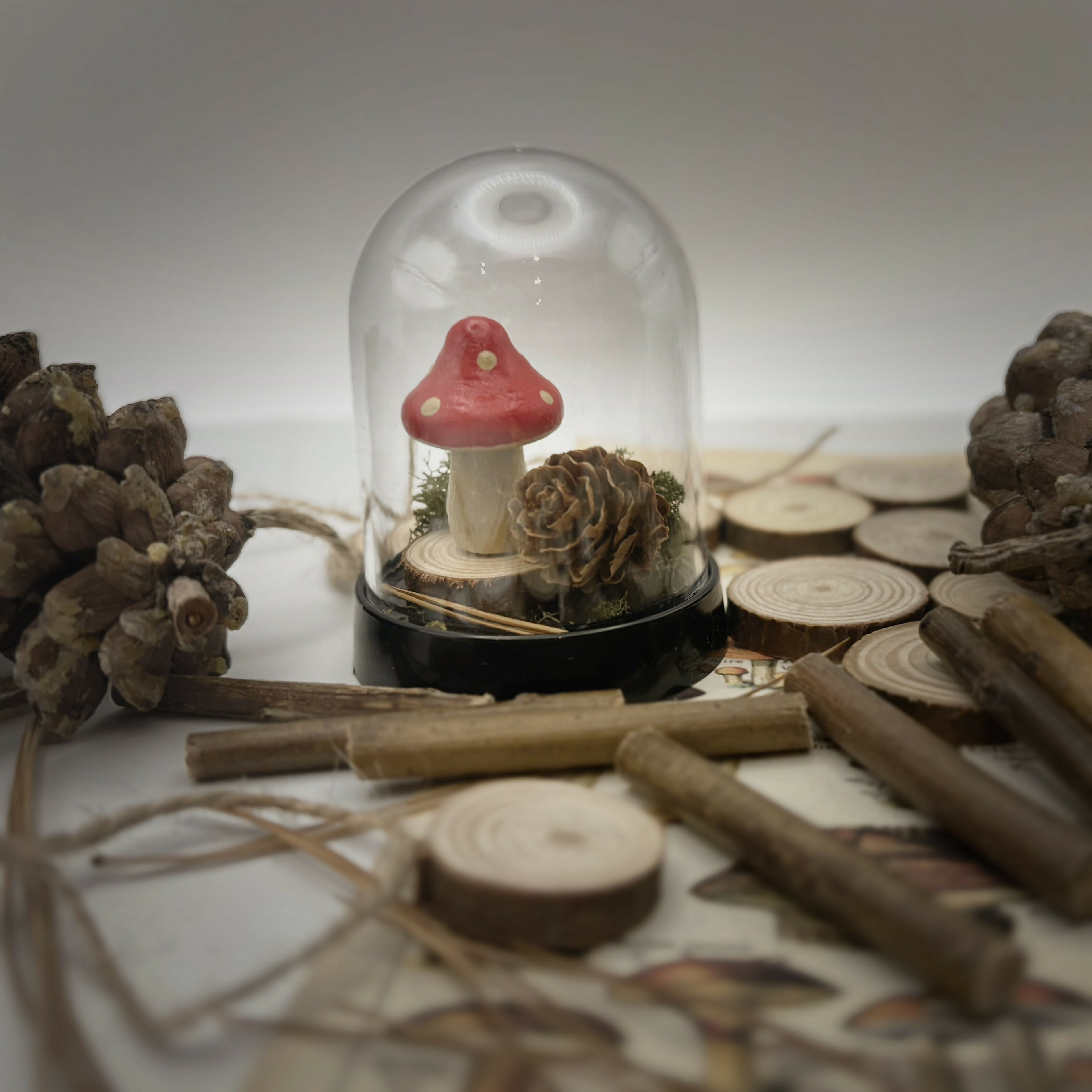 Mini Terrarium Kit