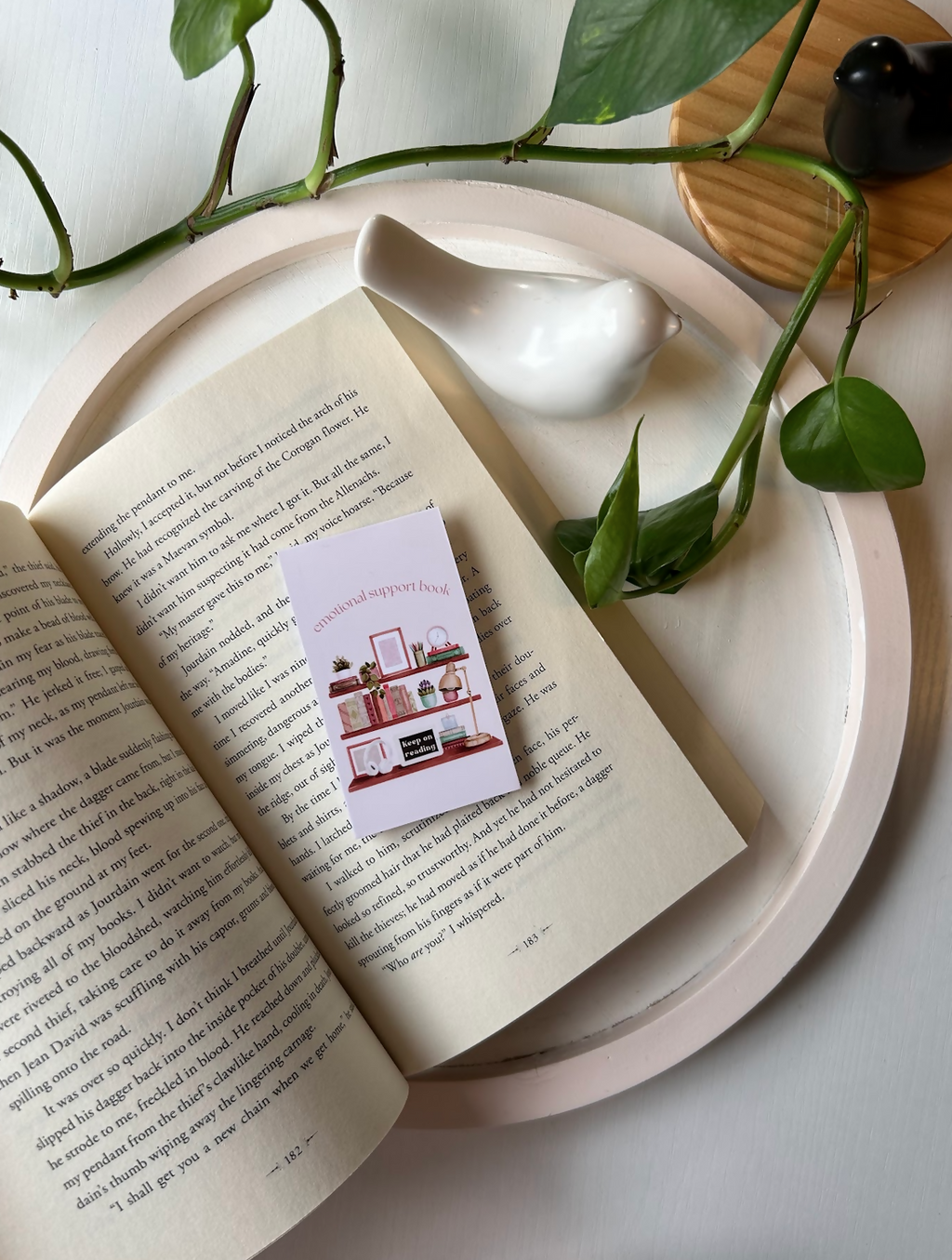 Bookshelves - Magnetic Bookmark - Keep on Reding