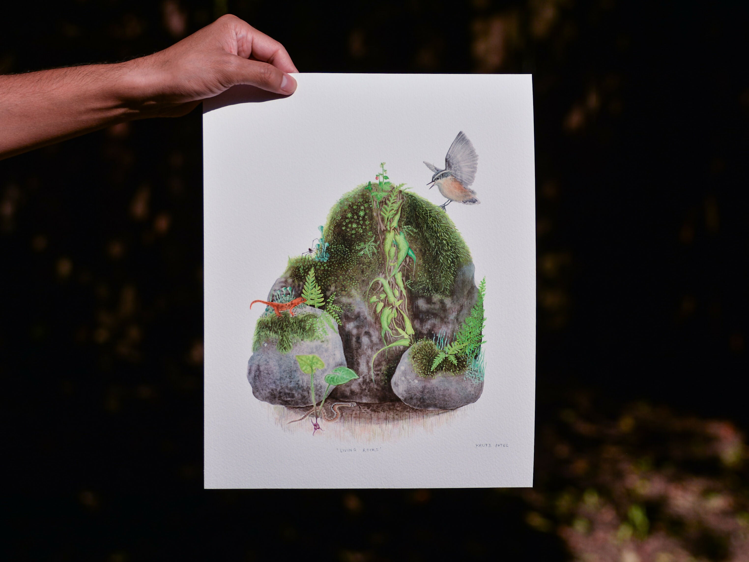 Living rocks | Giclé print