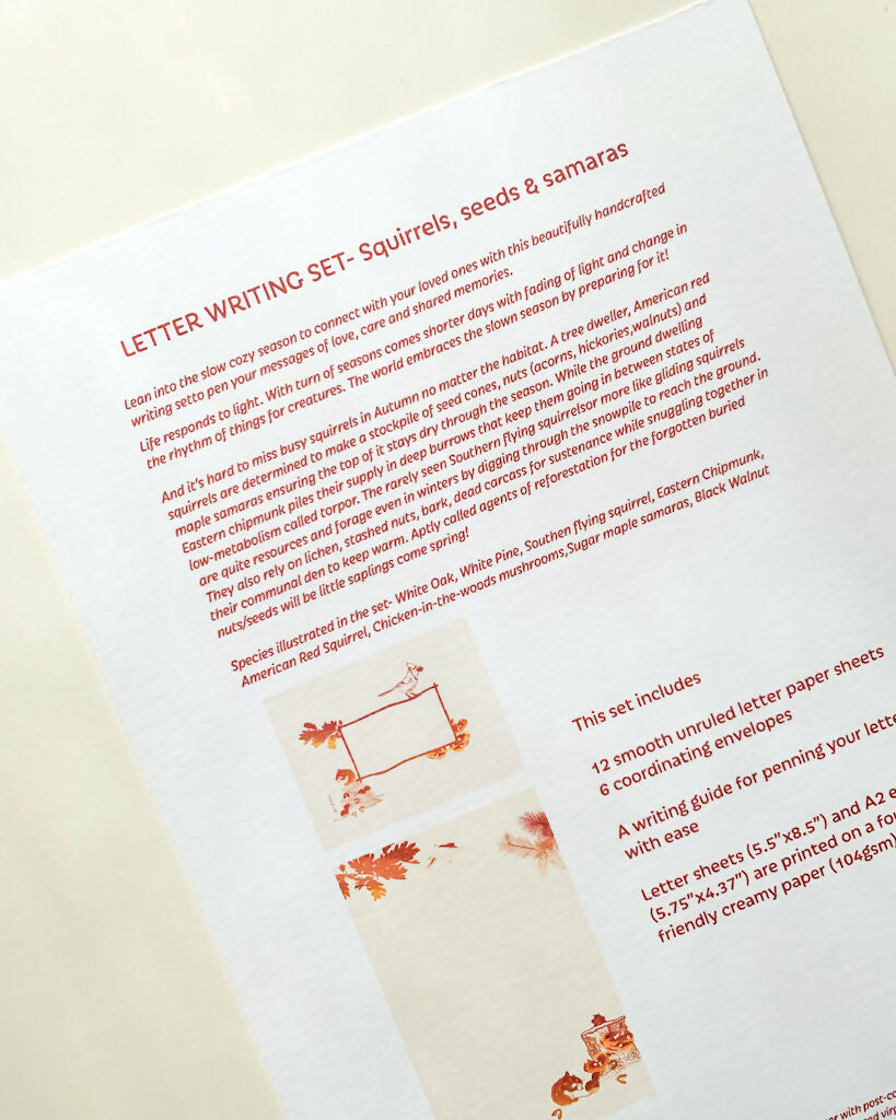 Squirrels, seeds & samaras | Letter writing set