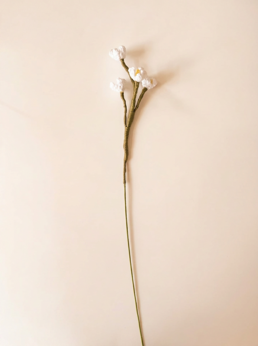 Baby's Breath